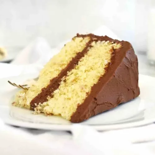 yellow cake with chocolate frosting